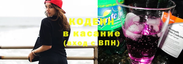 мяу мяу мука Арсеньев