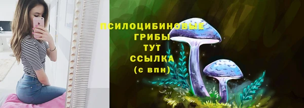 мяу мяу мука Арсеньев