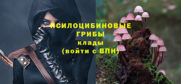 соль курить ск Аркадак