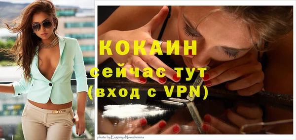 мяу мяу мука Арсеньев