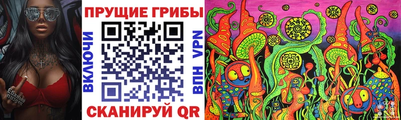 Псилоцибиновые грибы ЛСД  Купить где  Шилка 